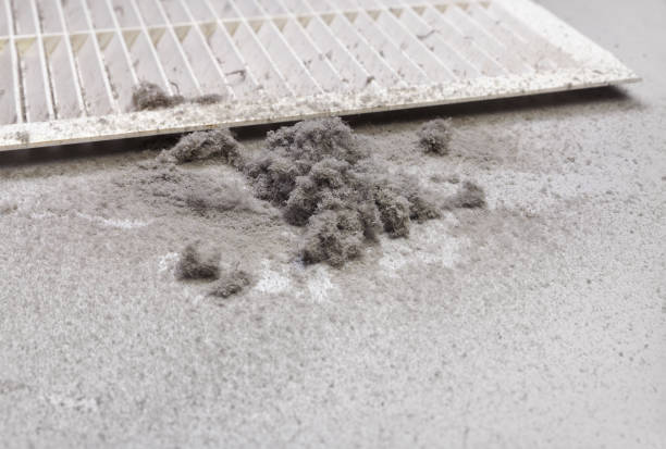 Best Affordable Duct Cleaning Services  in Northport, AL
