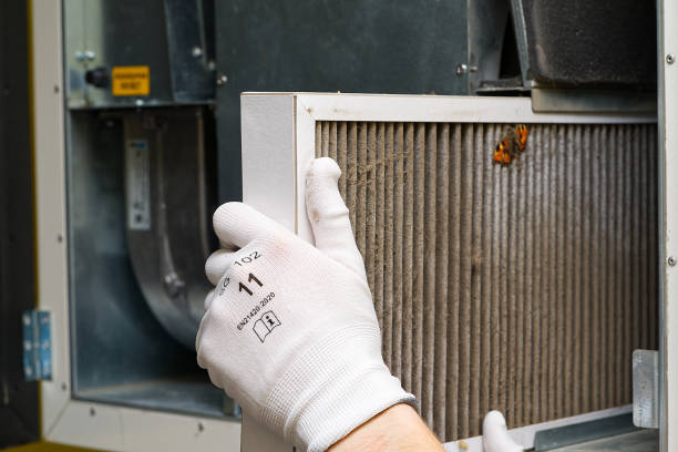 Best Affordable Air Duct Cleaning  in Northport, AL