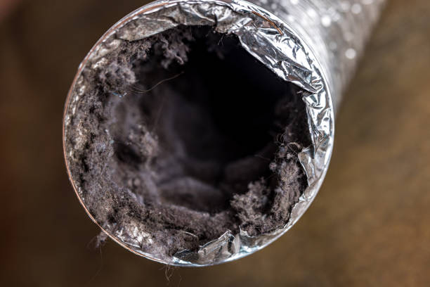 Best Air Duct Cleaning Near Me  in Northport, AL