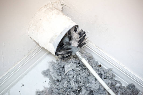Best Professional Duct Cleaning Services  in Northport, AL